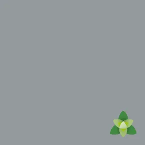 Gray background with the stylized Trillium flower on a conner