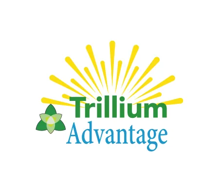 Yellow rays with the Trillium Flower in green