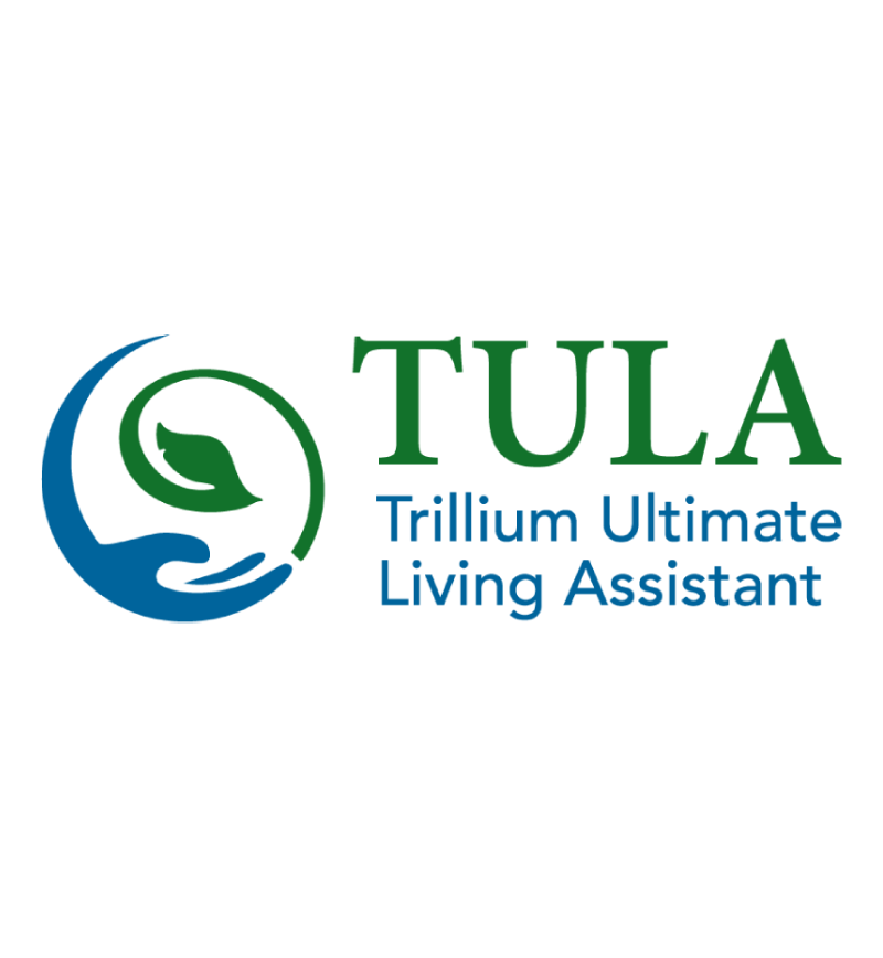 A wave blue and green with the word TULA, Tula Logo