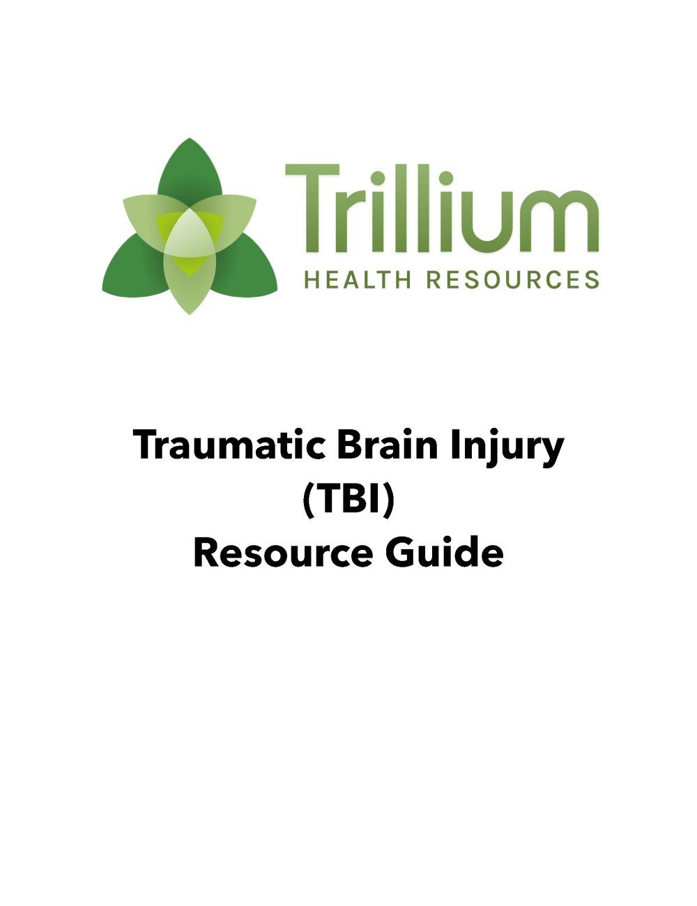 picture of the cover of the TBI guide